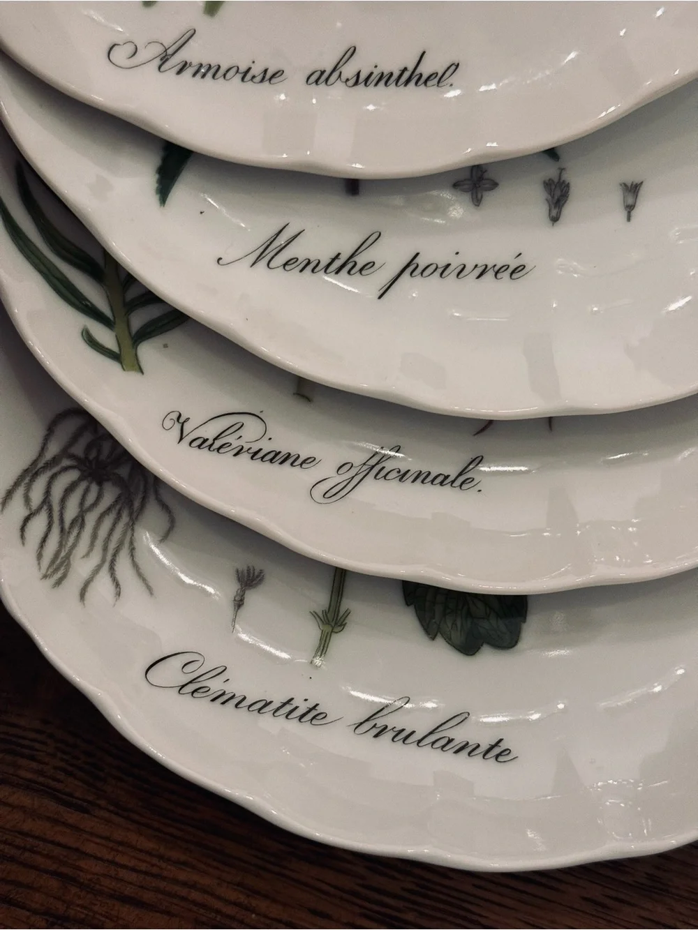 TASTE SETTER COLLECTION® Botanical Green and Pink  Scallop plates  Set - 4